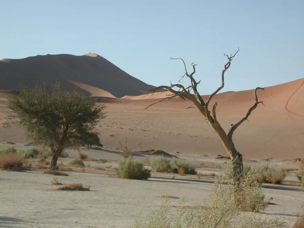 Namibian Landscapes