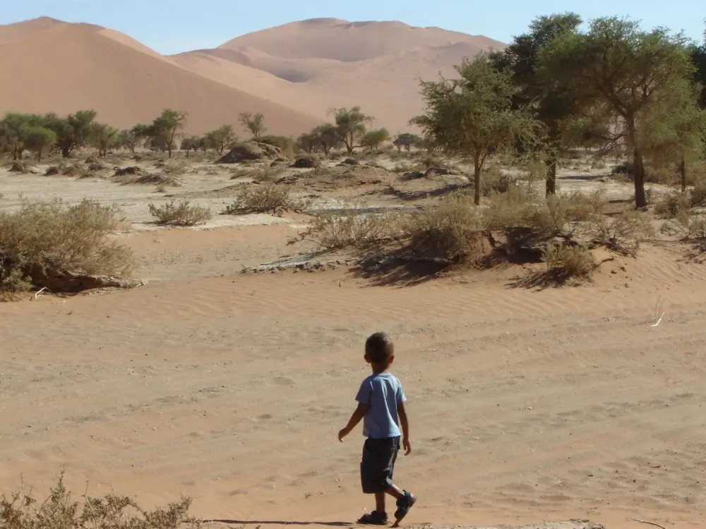 Namibian Landscapes