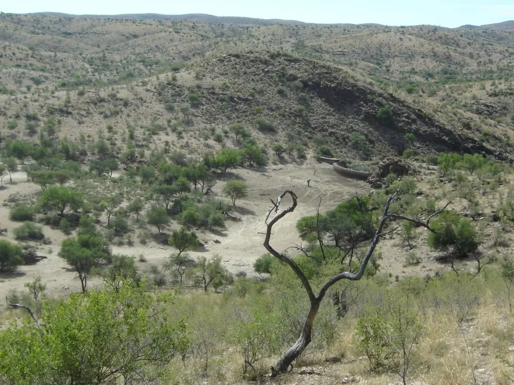 Environmental Assessments