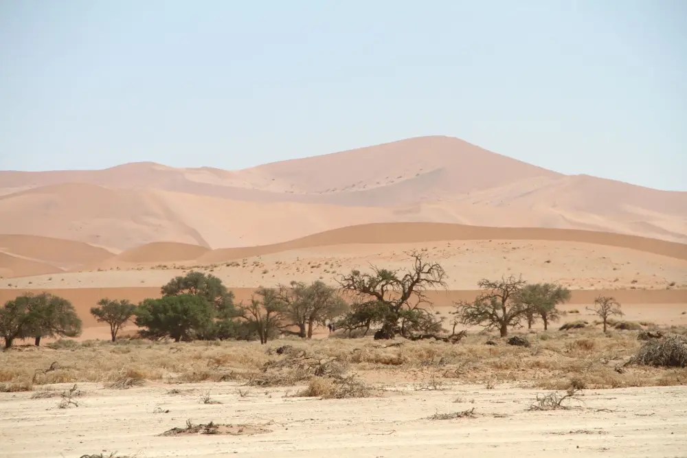 Namibian Landscapes