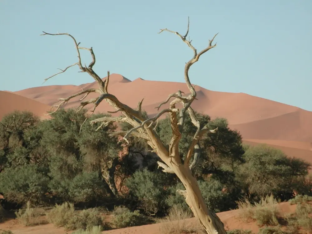 Namibian Landscapes