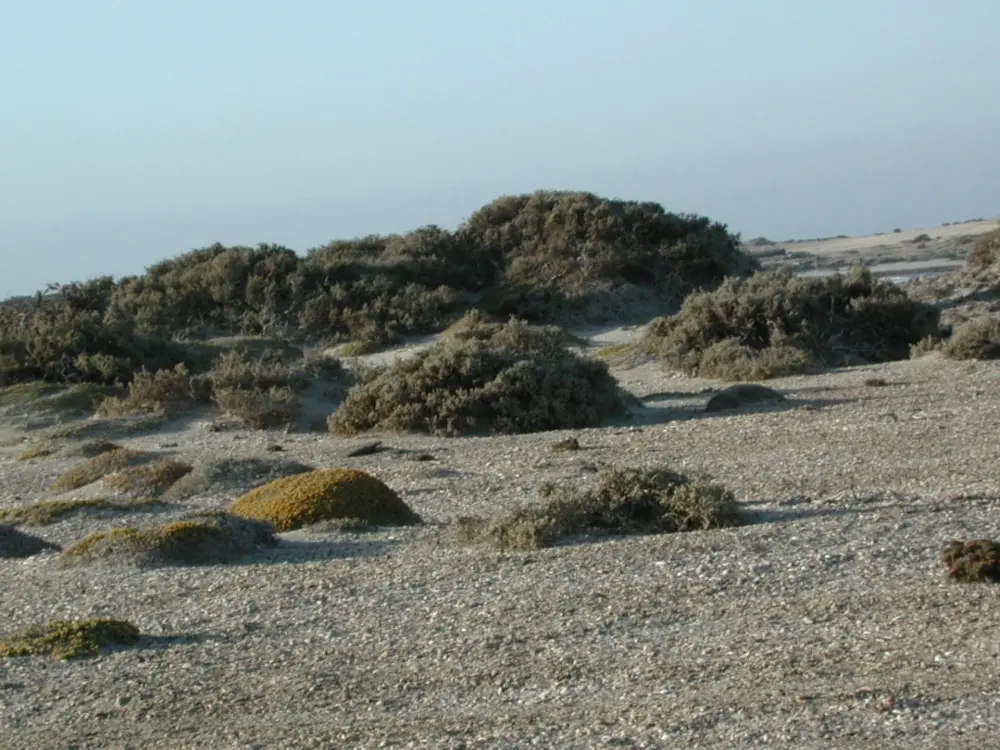 Namibian Landscapes