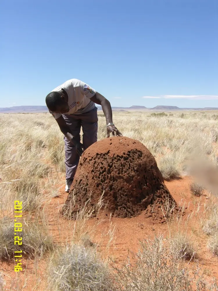 Geological Engineering