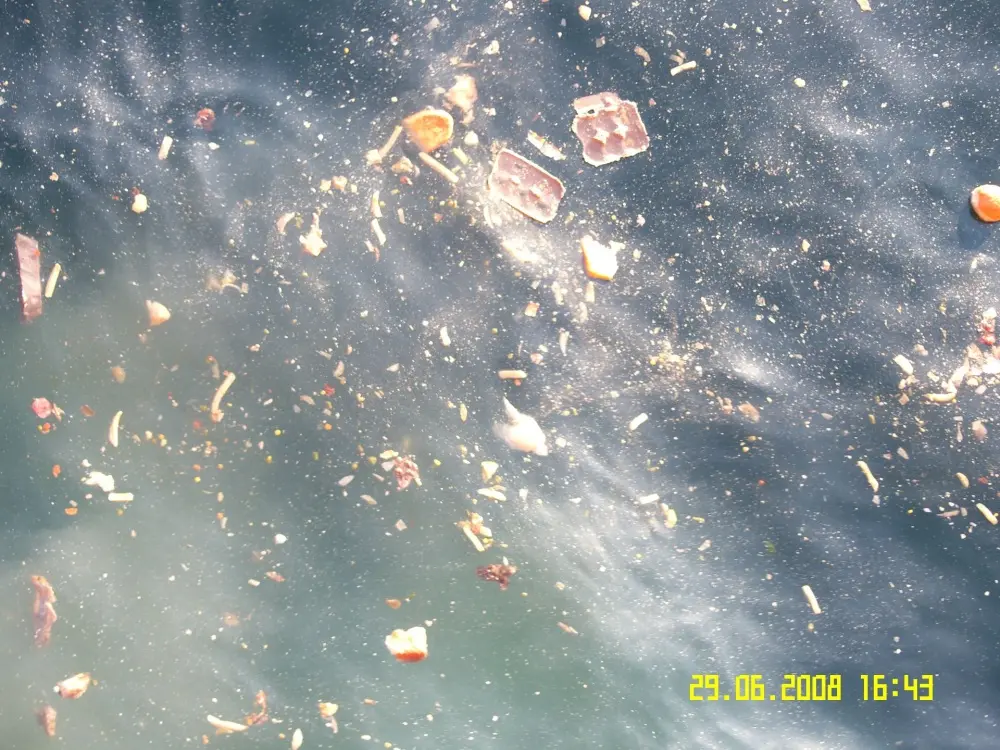 Waste Management