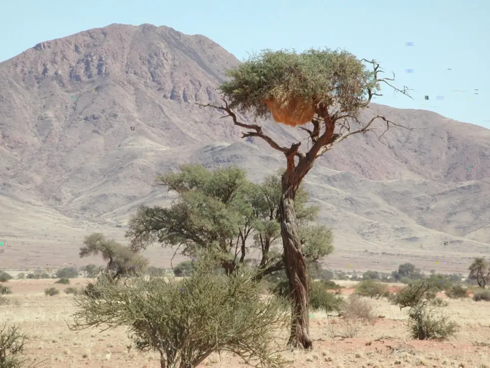 Namibian Landscapes