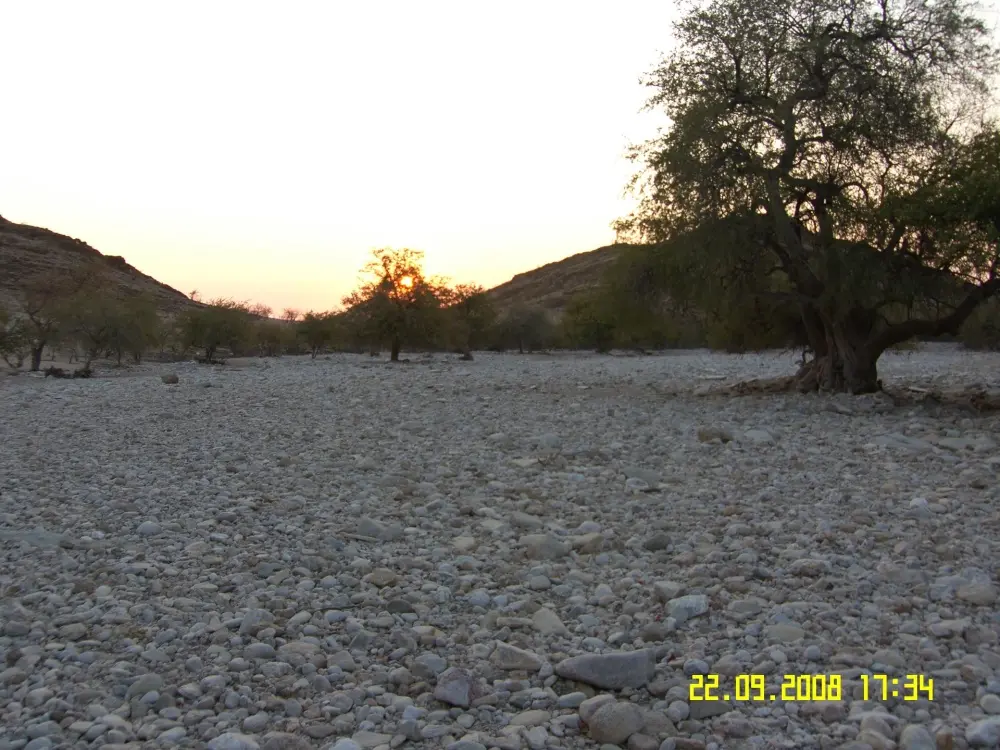 Environmental Assessments