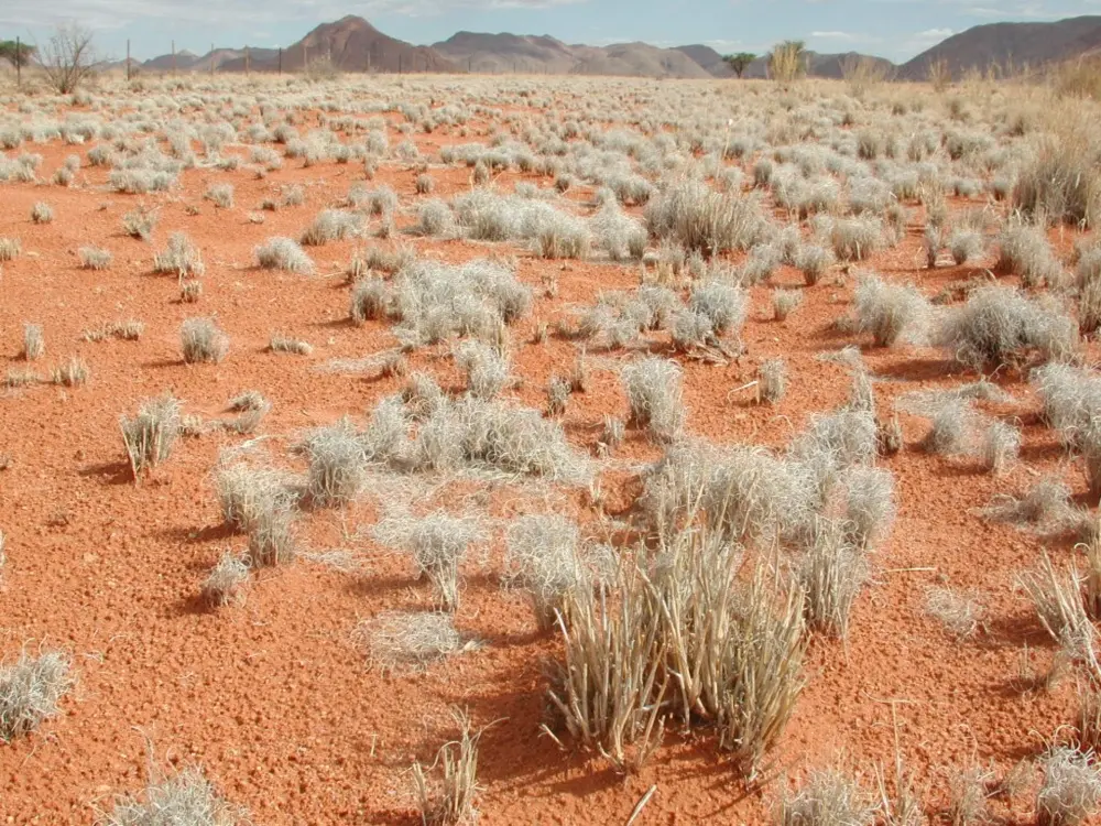 Namibian Landscapes