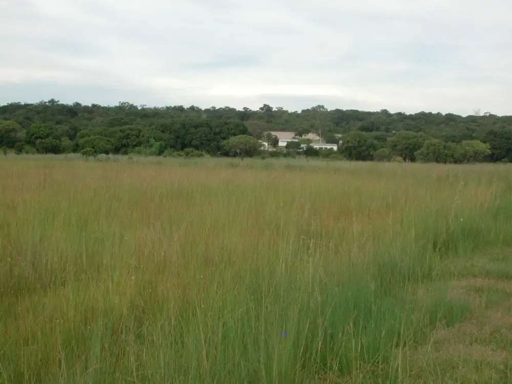 Surface & Groundwater