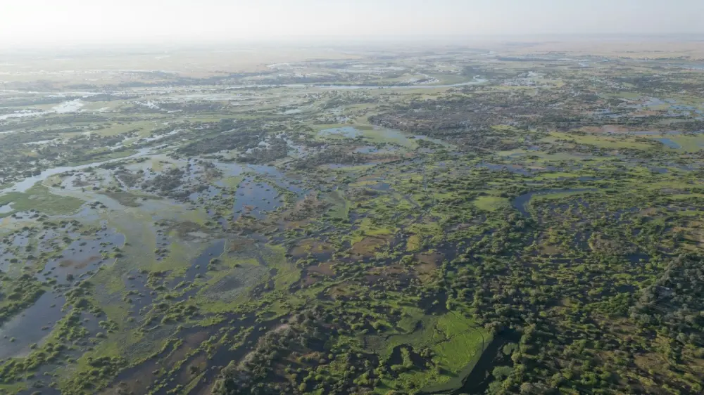 Surface & Groundwater