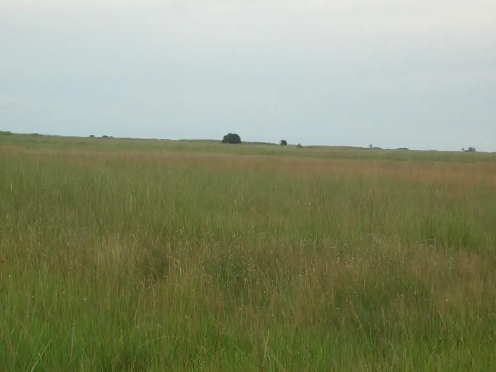 Surface & Groundwater