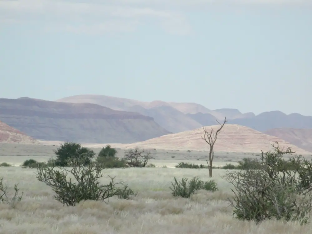Namibian Landscapes