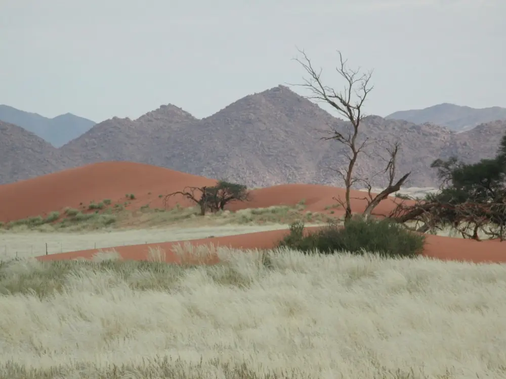 Namibian Landscapes