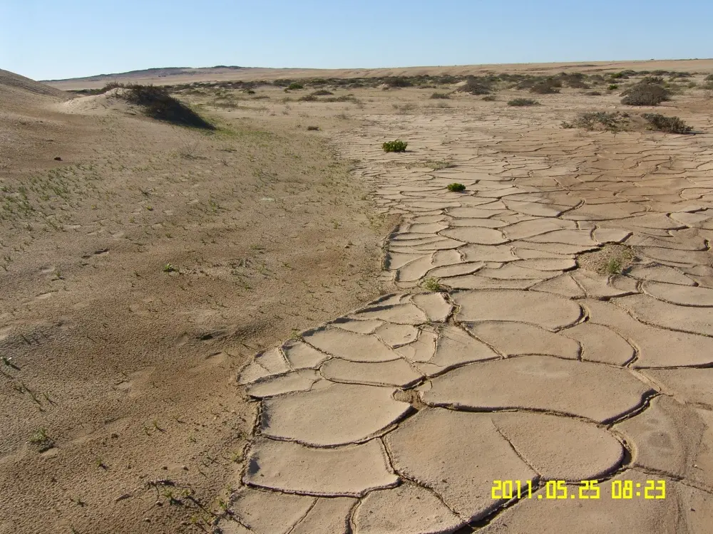 Environmental Assessments
