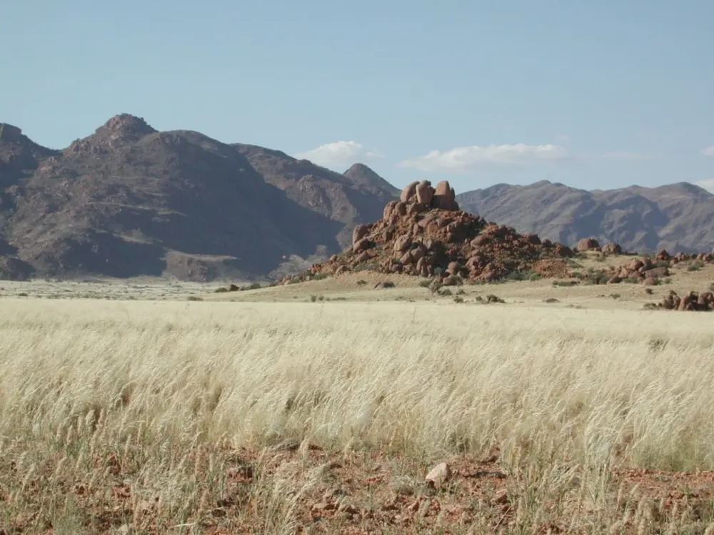 Namibian Landscapes