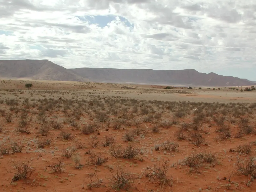 Namibian Landscapes