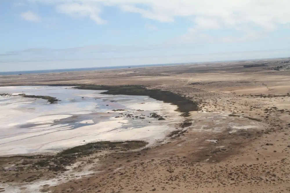 Surface & Groundwater
