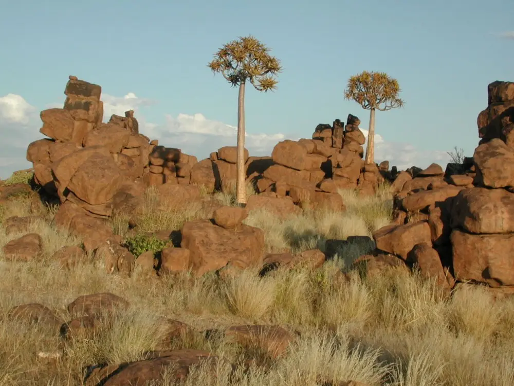 Namibian Landscapes