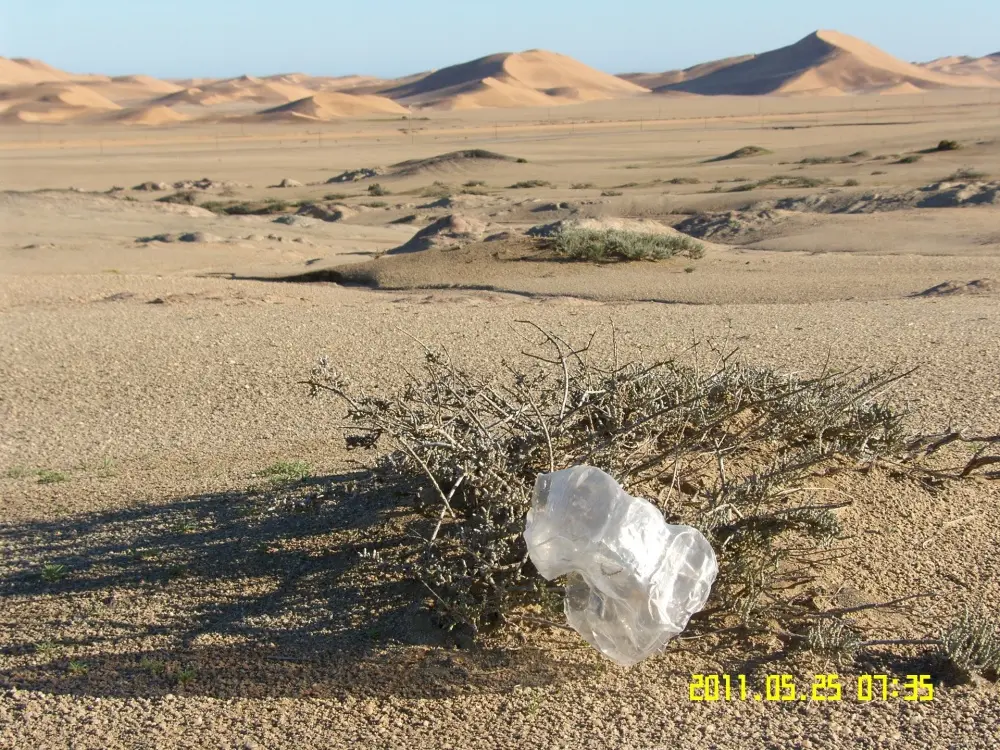 Waste Management