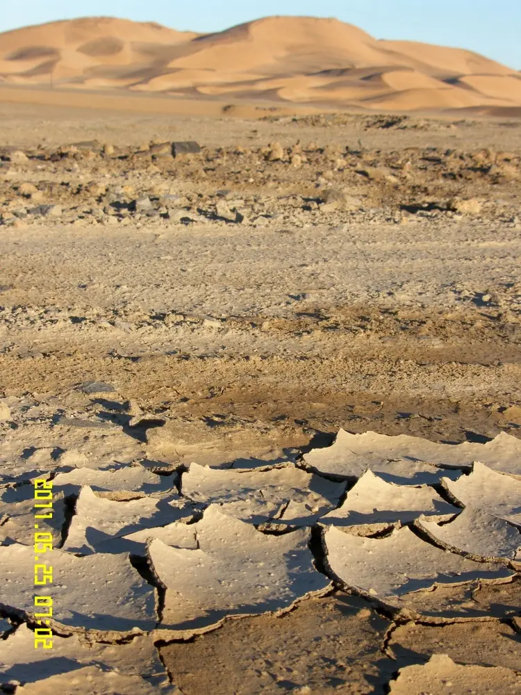 Environmental Assessments