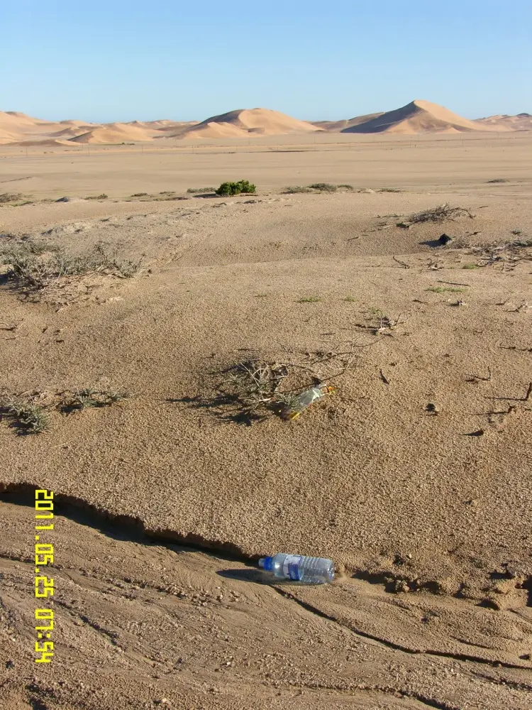 Waste Management
