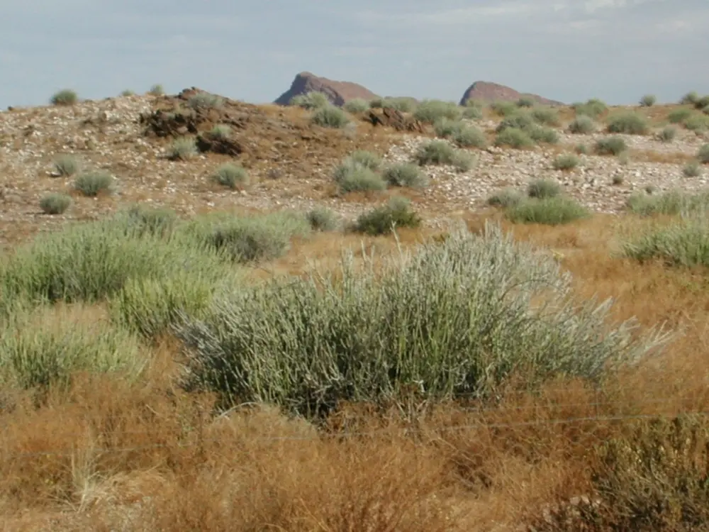 Namibian Landscapes
