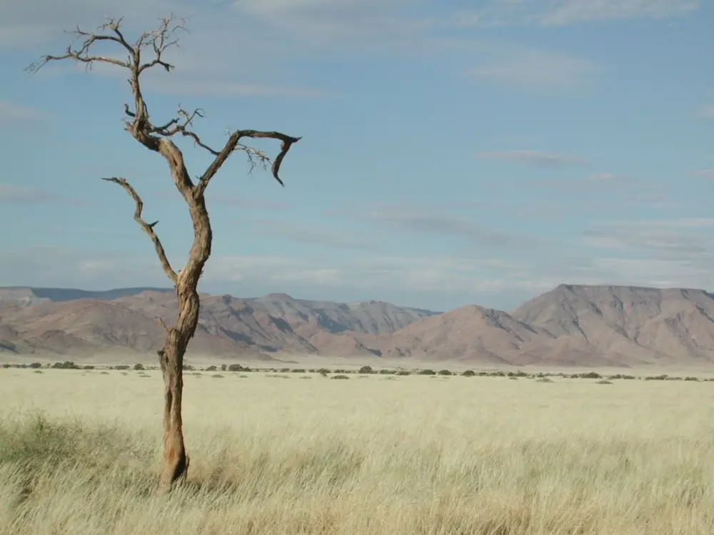 Namibian Landscapes