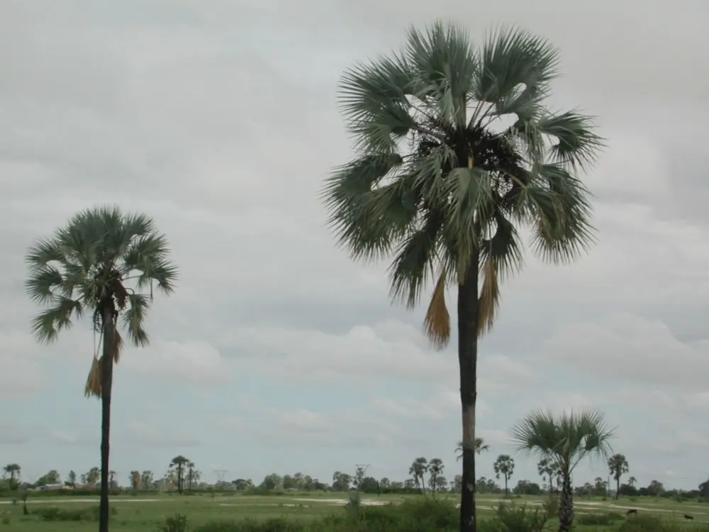 Namibian Landscapes