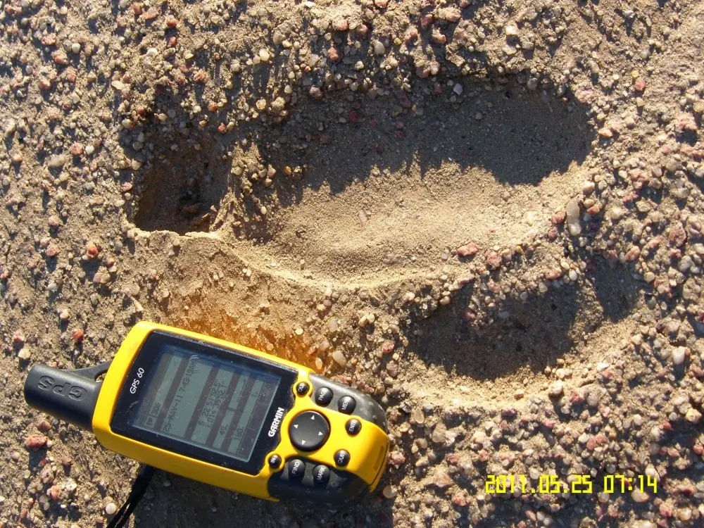 Environmental Assessments