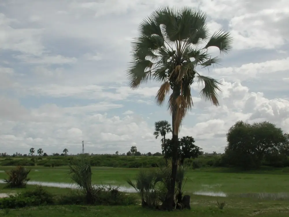 Namibian Landscapes