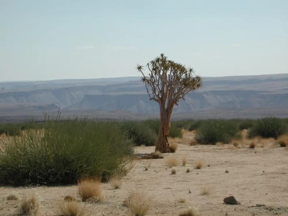 Namibian Landscapes