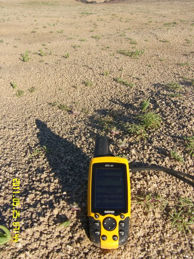 Environmental Assessments