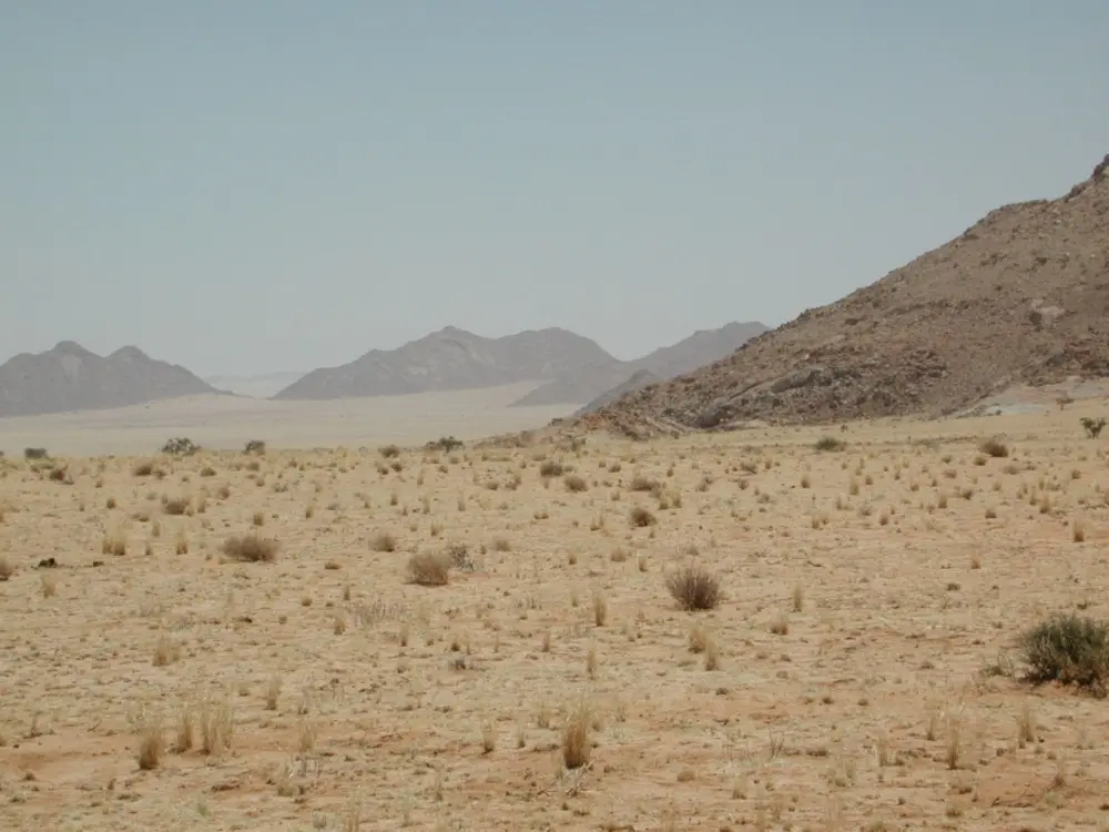Namibian Landscapes