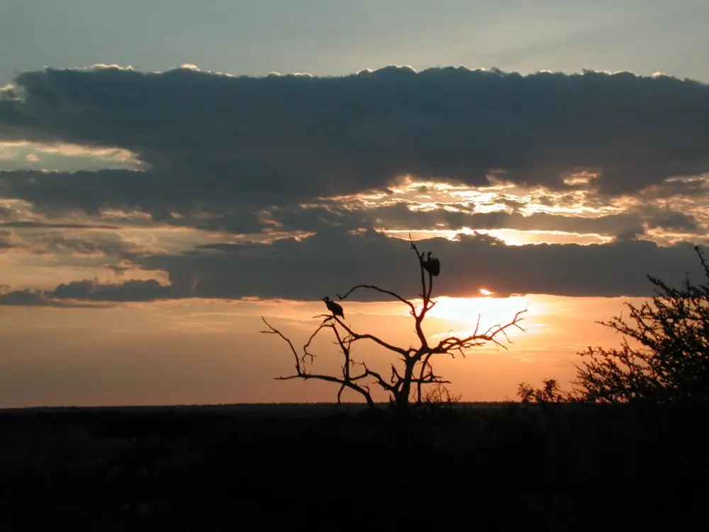 Namibian Landscapes