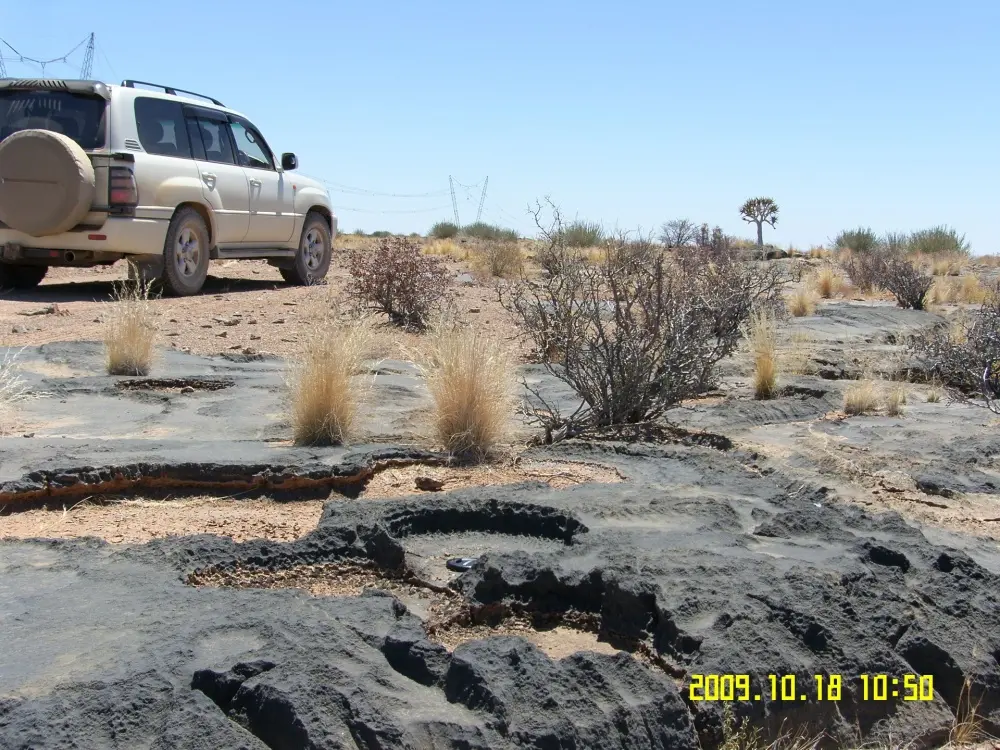 Environmental Assessments
