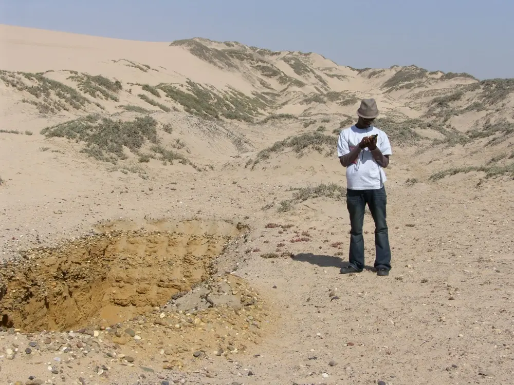 Environmental Assessments