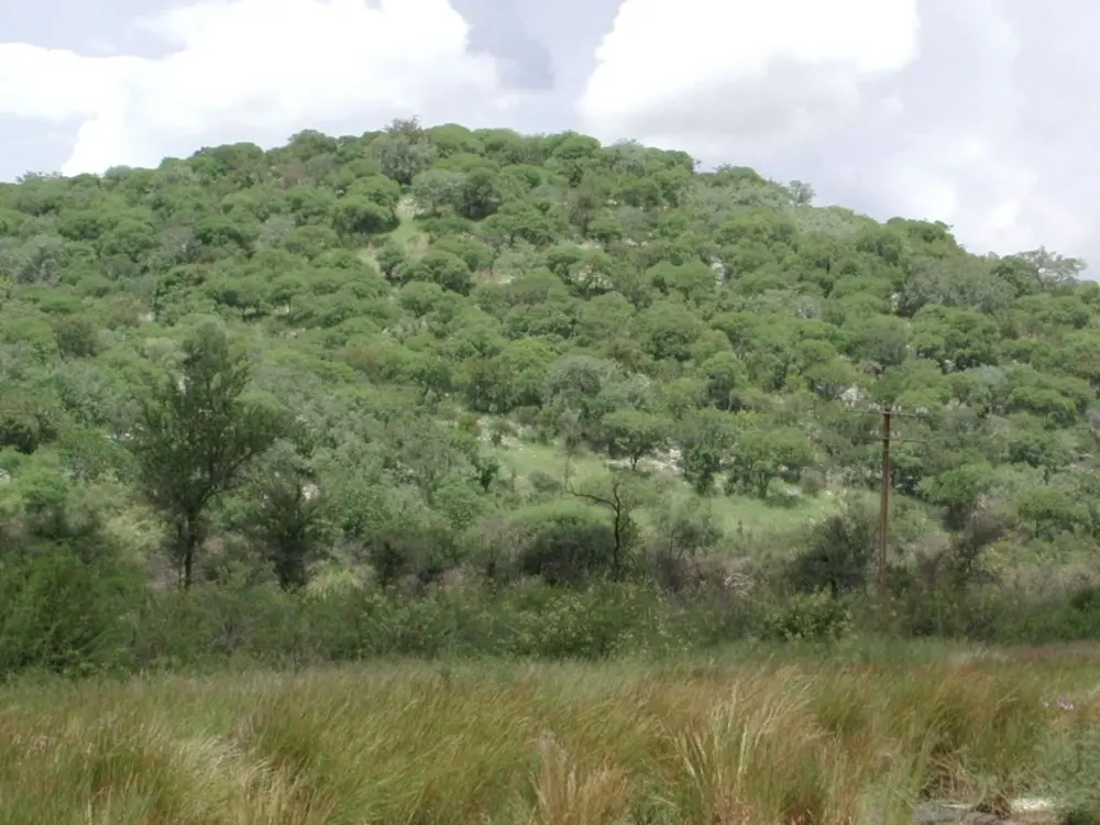 Namibian Landscapes