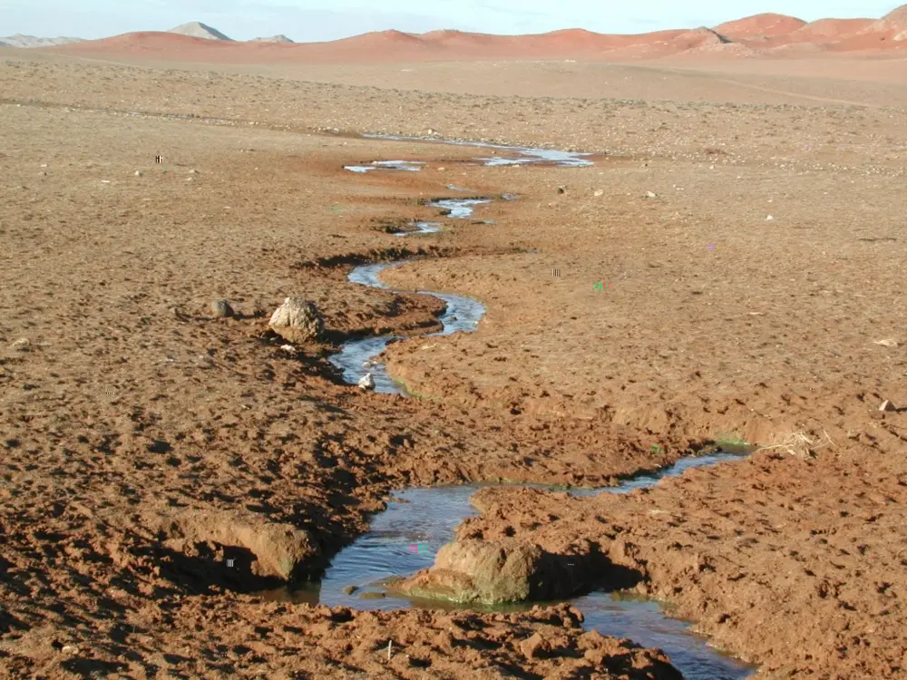 Namibian Landscapes