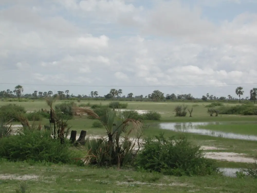 Namibian Landscapes
