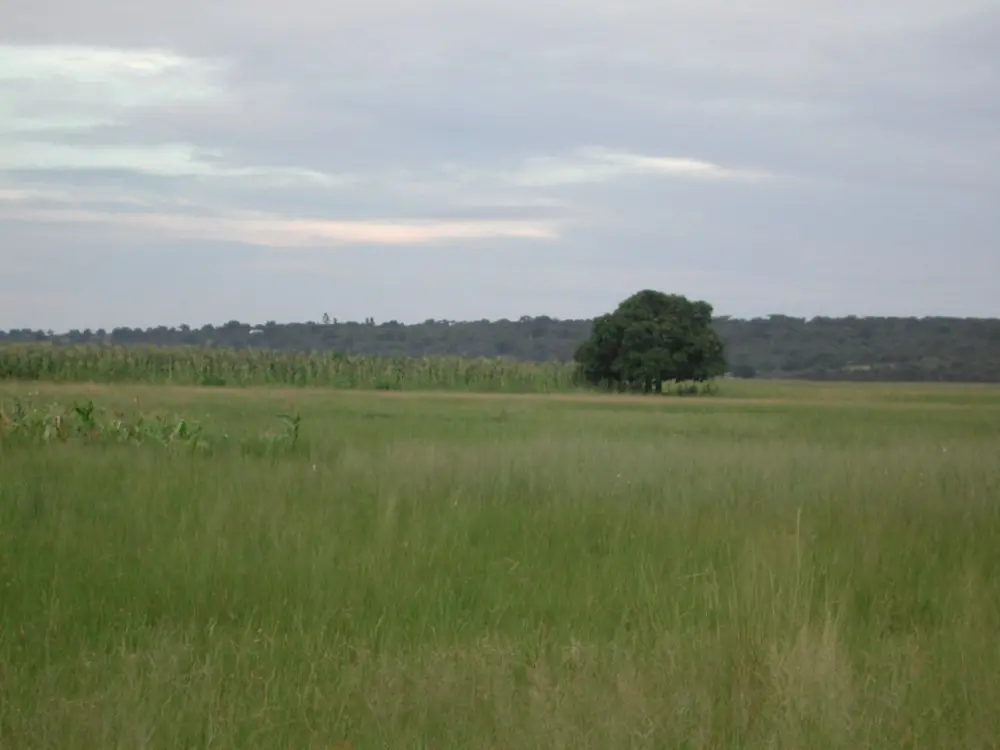 Surface & Groundwater