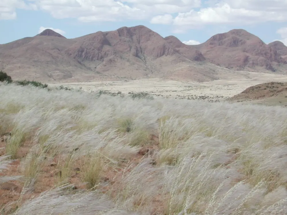 Namibian Landscapes