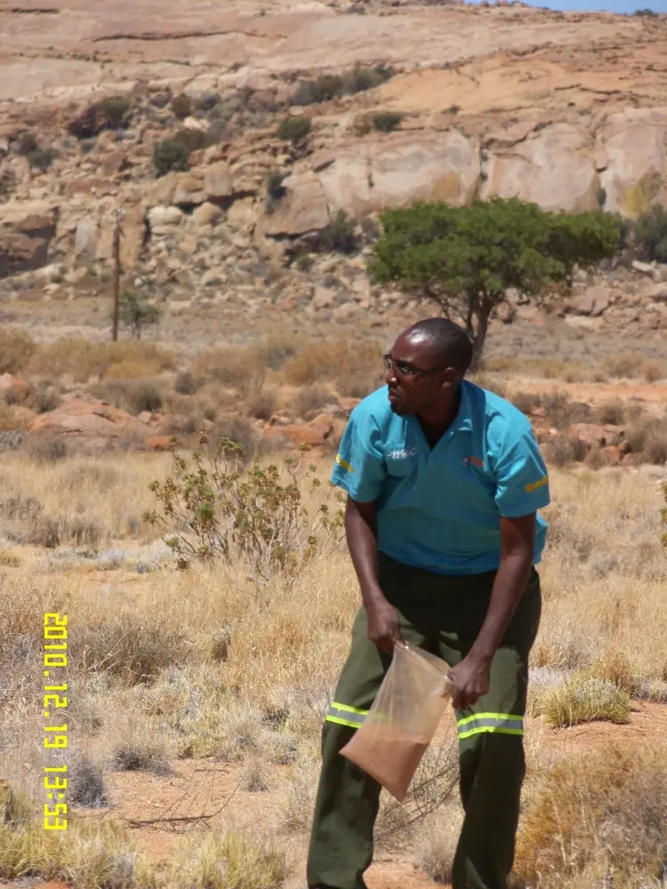 Minerals Exploration