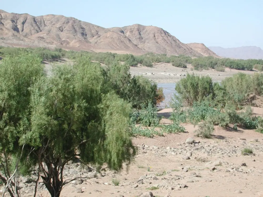 Namibian Landscapes
